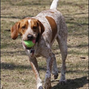 Meet your Posher, Tanmy